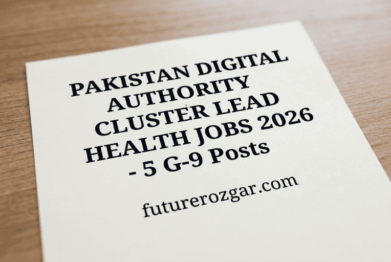 Pakistan Digital Authority Cluster Lead Health Jobs 2026
