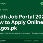 Sindh Job Portal 2026: How to Apply Online at sjp.gos.pk Sindh Job Portal